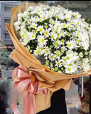  Bó Hoa Cúc Hoạ Mi Siêu To - HBT63 - Hoa Tươi 