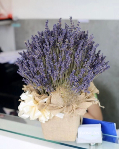 Bó Hoa Lavender: Hộp Hoa Lavender - LVD02