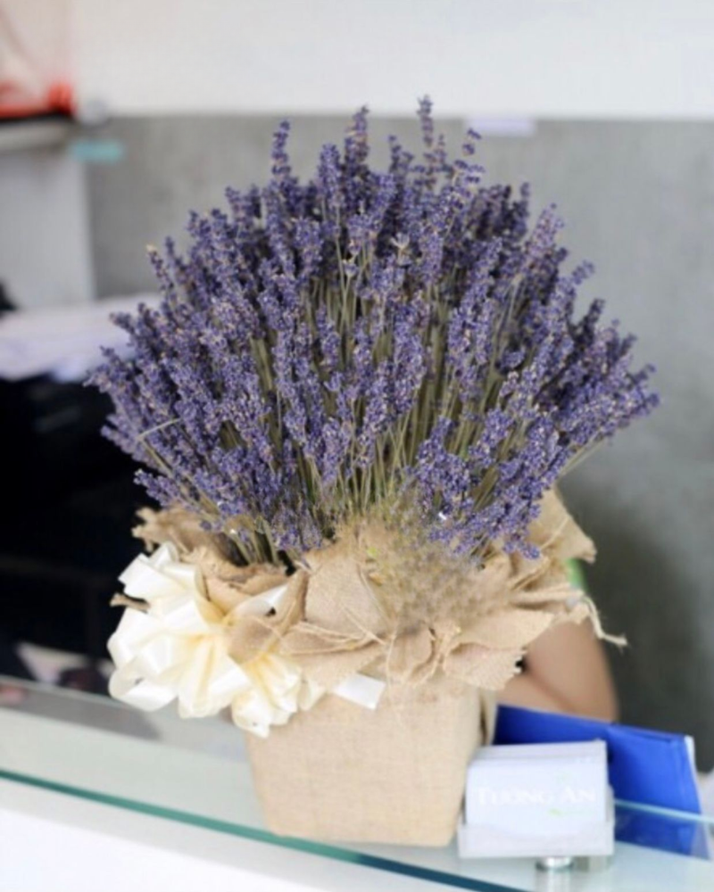  Hộp Hoa Lavender - LVD02 