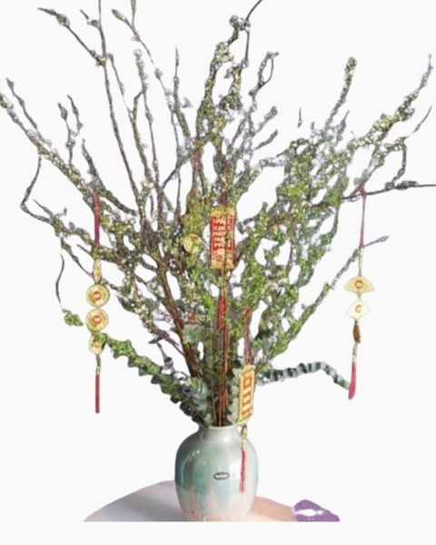 Hoa Tuyết Mai Bền Đẹp Mới 2026 Bính Ngọ: Bình Tuyết Mai Tết Đong Đầy - HCB55 - Hoa Chưng Tết Đẹp