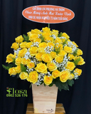  Hộp Hoa Hồng Vàng  - HH118 