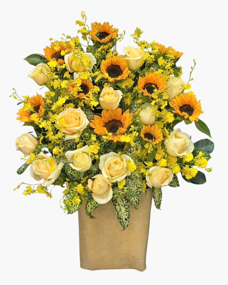  Hộp Hoa Ánh Nắng - HH156 