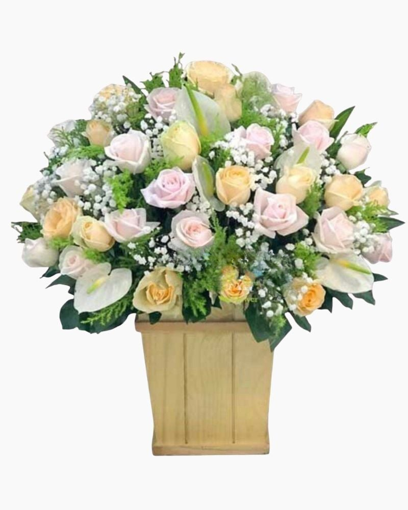  Sắc Hồng Xinh - HCH50 - Điện Hoa 