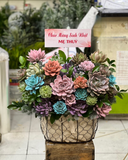  Giỏ Hoa Sen Đá - HG62 - Ngày Của Mẹ 