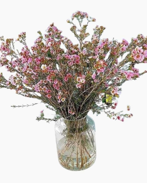 Hoa Cắm Bình Đẹp Mới 2026 Bính Ngọ: Tết An Nhiên - HCB60 - Hoa Chưng Tết