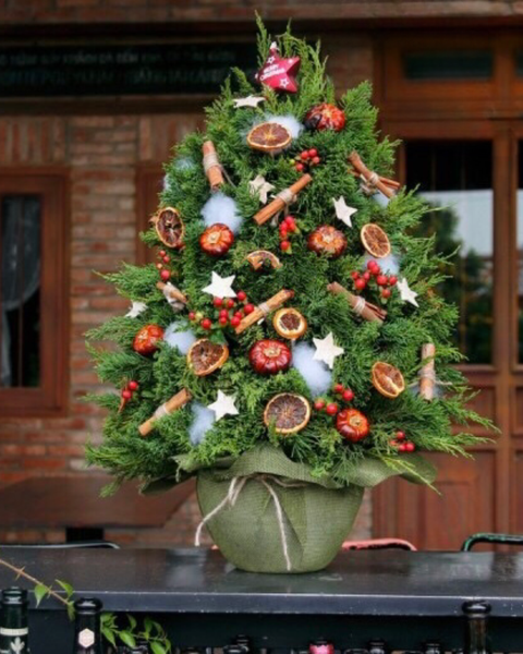 Cây Thông Noel: cay-thong-noel-merry-spruce-hgs09-giang-sinh-an-lanh