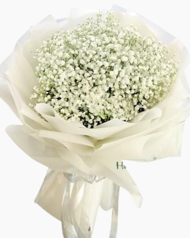  Vĩnh Cửu - HBT68 - Hoa 20/10 