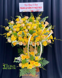  Phát Vượng Phu - HCH128 