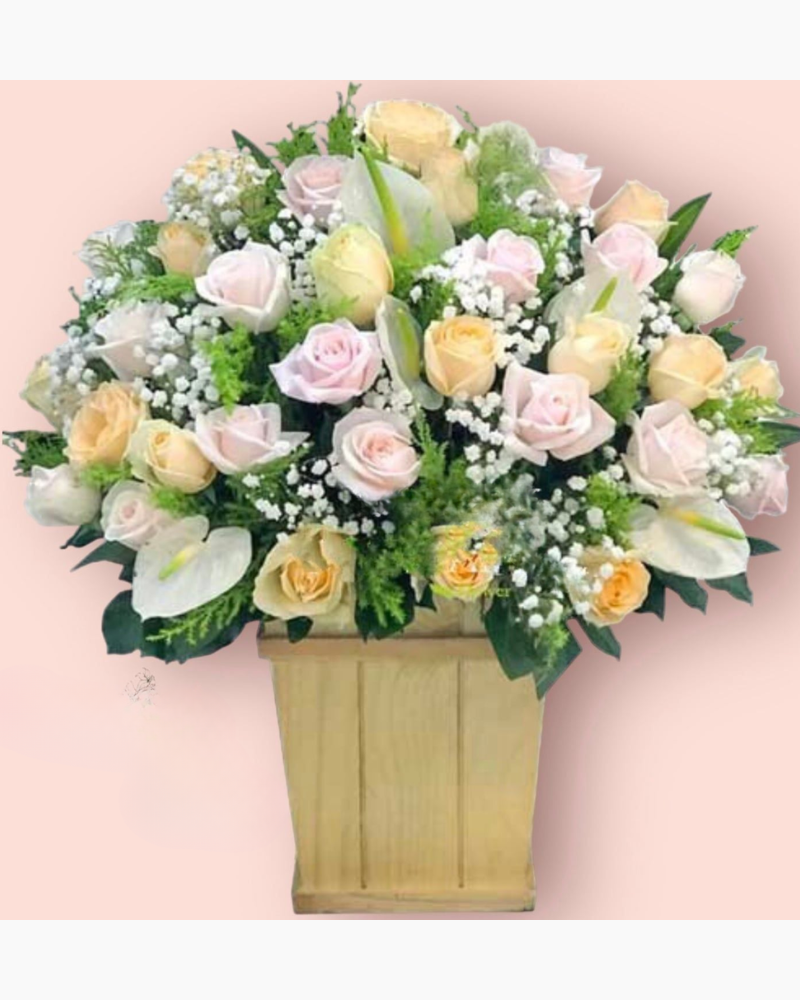  Sắc Hồng Xinh - HCH50 - Điện Hoa 