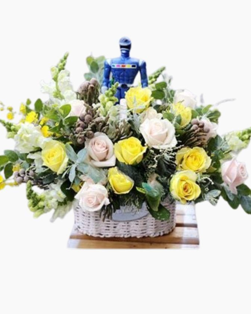  Baby Boy - HG34 - Giỏ hoa tươi 