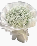  Tinh Khôi  - HBT67 - Hoa 20/10 