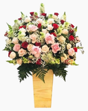  Mộng Mơ - HCH64 - Hoa tặng mẹ 