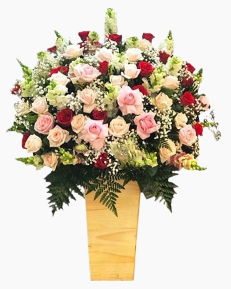  Mộng Mơ - HCH64 - Hoa tặng mẹ 