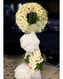  Chia Ly - HTL16 - Hoa Chia Buồn 