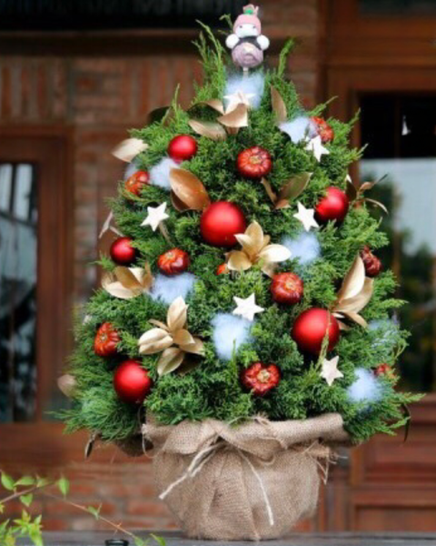 Cây Thông Noel: Cây Thông Noel Joyful Pine - HGS08 - Giáng Sinh Bình An