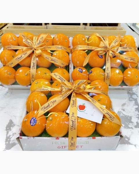 Giỏ Trái Cây Đẹp, Quà Tặng Trái Cây Tươi Nhập Khẩu Từ 300K: Hộp Trái Cây Thăm Bệnh - GTC85