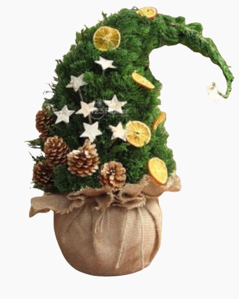 Cây Thông Noel:  Cây Thông Noel Frostbite - HGS07 - Giáng Sinh Vui Vẻ 