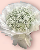  Tinh Khôi  - HBT67 - Hoa 20/10 