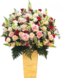  Mộng Mơ - HCH64 - Hoa tặng mẹ 