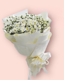  Bó Hoa Cúc Hoạ Mi - HBT52 - Hoa Tươi 