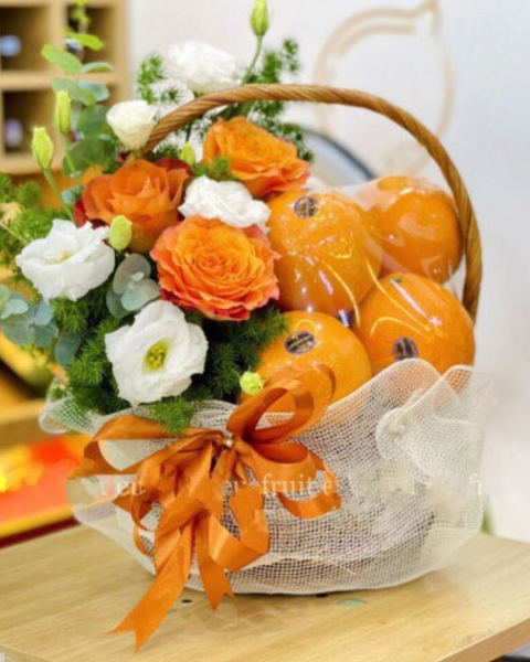 Giỏ Trái Cây Thăm Bệnh - GTC131