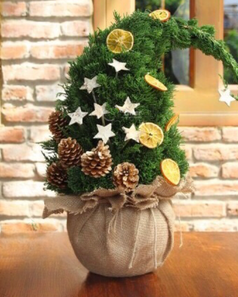 Cây Thông Noel:  Cây Thông Noel Frostbite - HGS07 - Giáng Sinh Vui Vẻ 