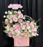  Hộp Hoa Cô Nương - HH178 