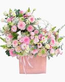  Hộp Hoa Cô Nương - HH178 