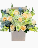  Tình Yêu Màu Nắng - HCH60 