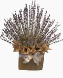  Thảo Dược Tình Yêu - LVD06 