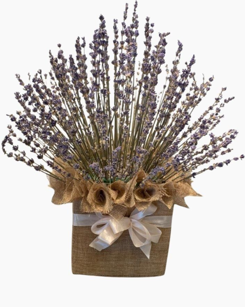  Thảo Dược Tình Yêu - LVD06 