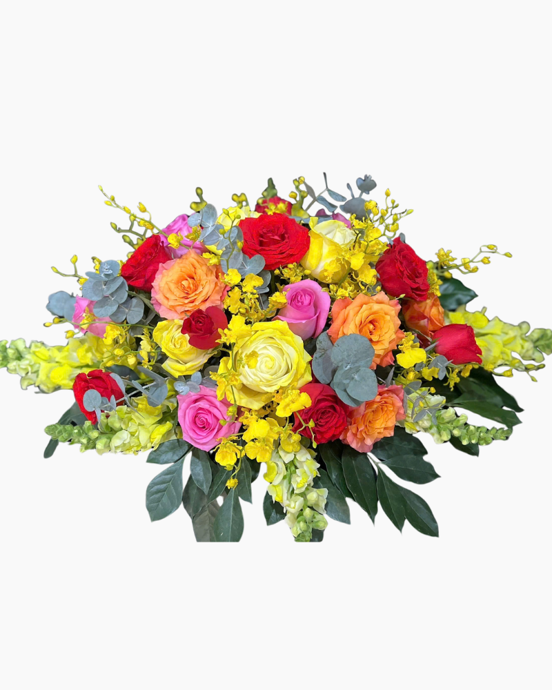  Phát Quang Rực Rỡ - BPB22 