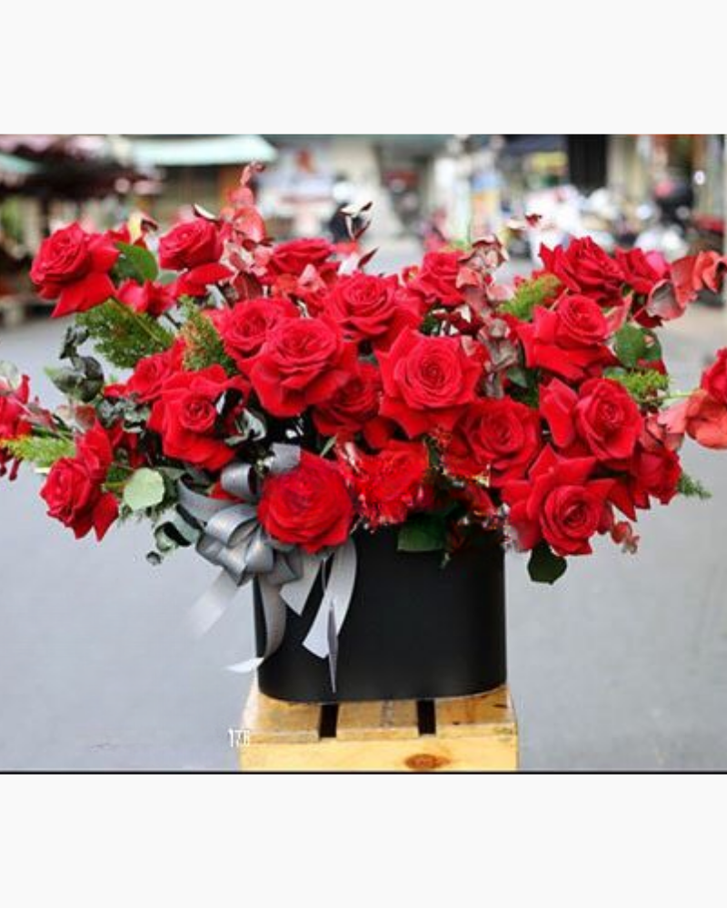  Sắc Đỏ - HH36 - Hoa 20/10 