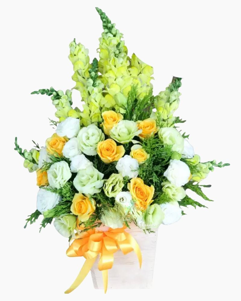  Đại Dương - HCH02 - Hoa 20/11 Hành Trình Tri Ân 