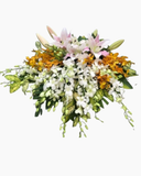  Bục Phát Biểu - 04 - Hoa 20/11 