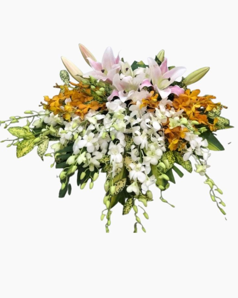  Bục Phát Biểu - 04 - Hoa 20/11 