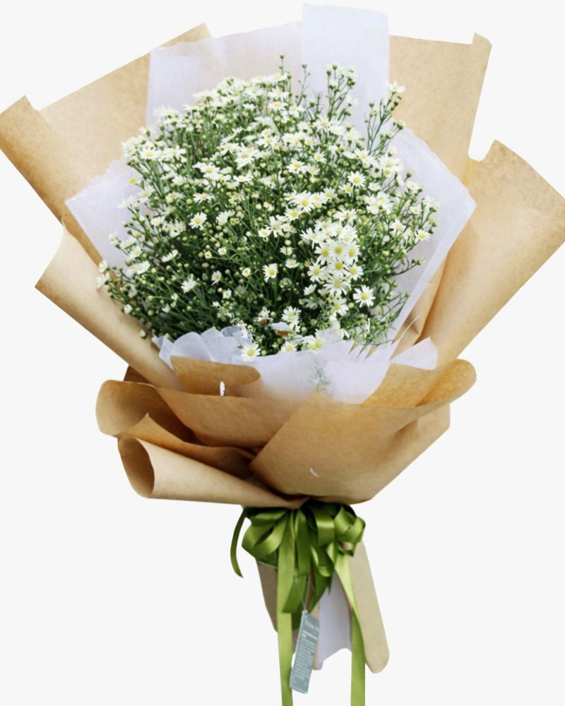  Thạch Thảo - HBD06 