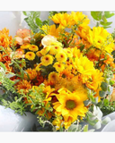  Autumn Melody​​​​​​​ - HBT54 - Hoa 20/11 tặng thầy giáo 