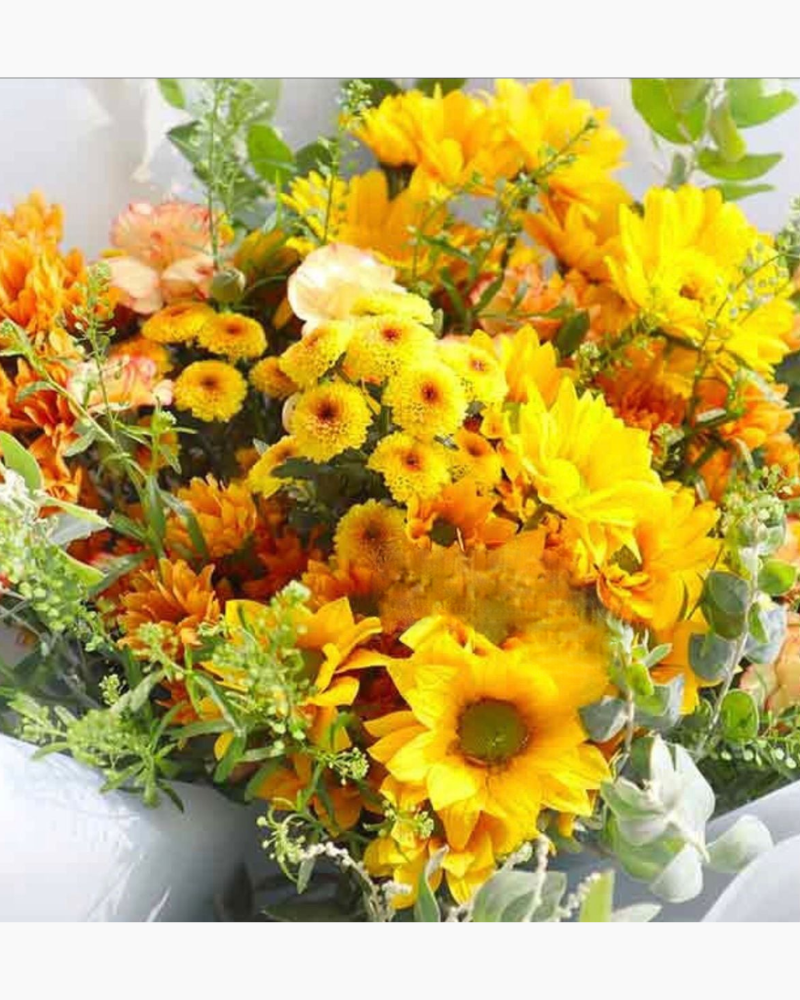  Autumn Melody​​​​​​​ - HBT54 - Hoa 20/11 tặng thầy giáo 