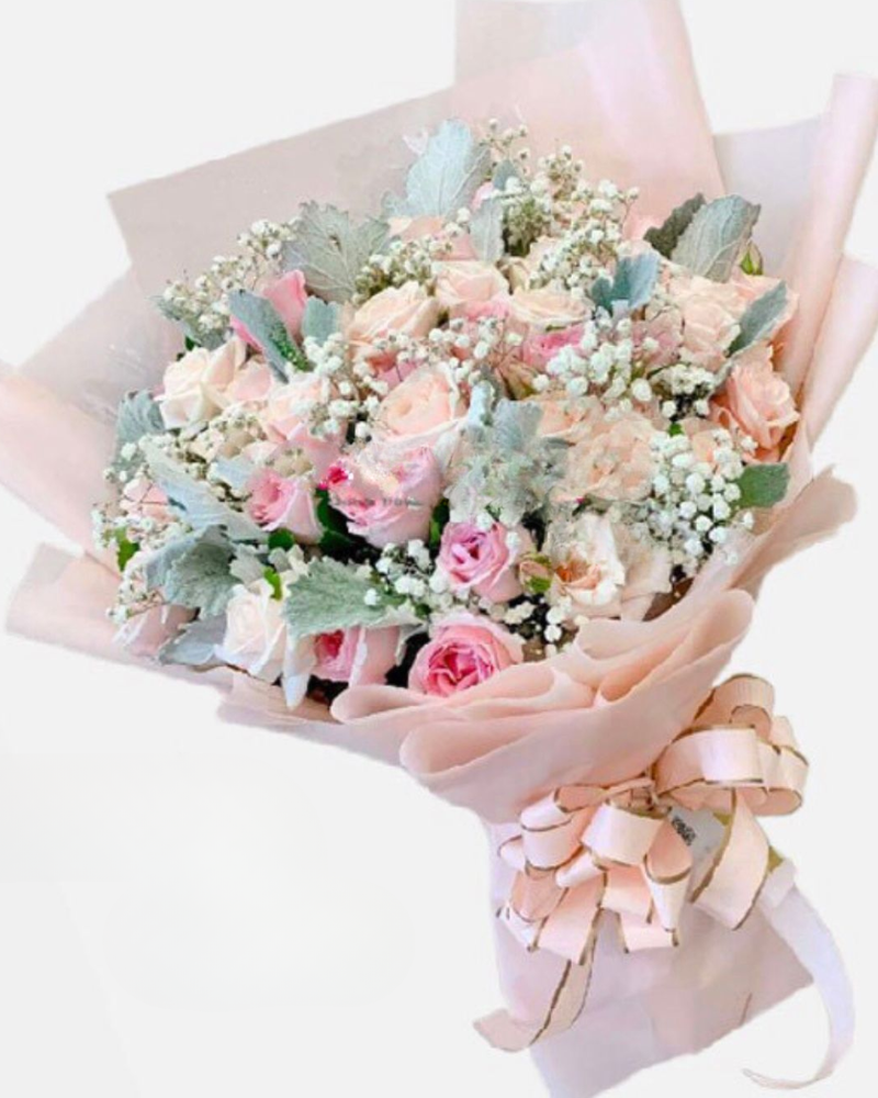  Niềm Vui Mới - HBD208 