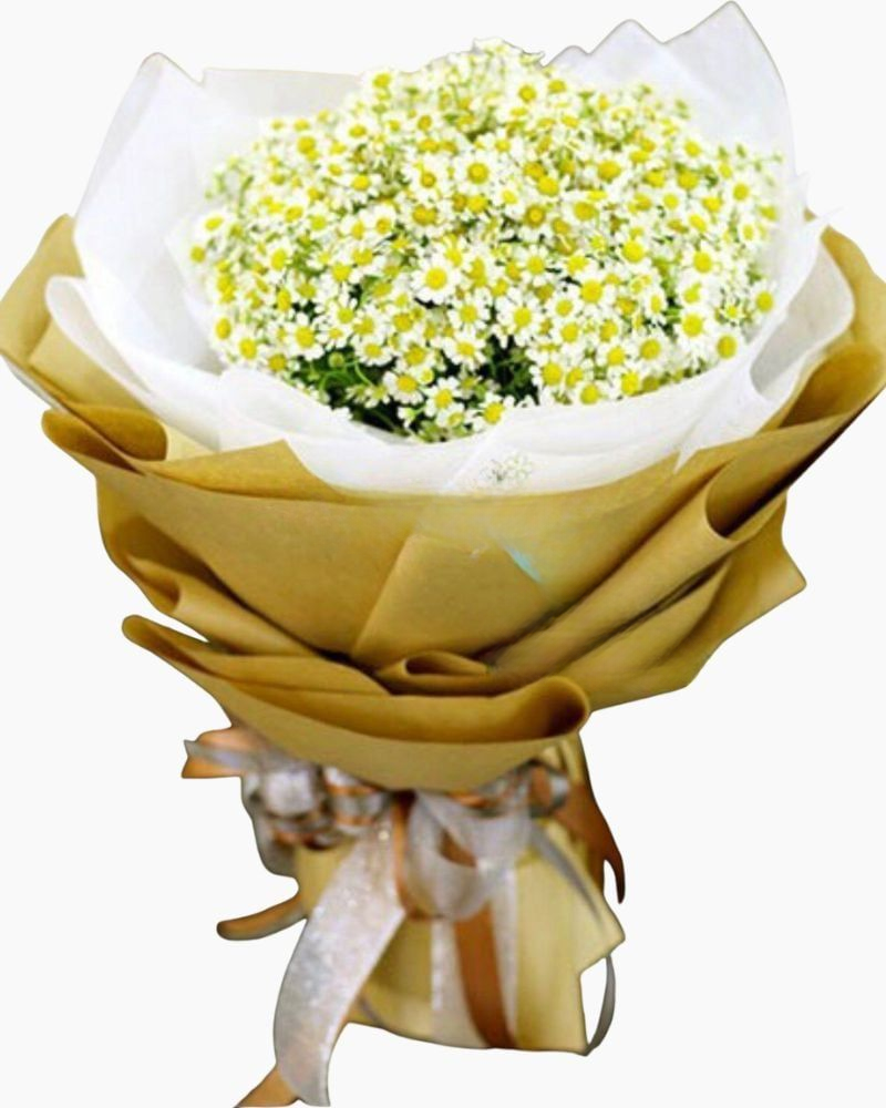  First Date - HBT35 - Hoa 20/10 