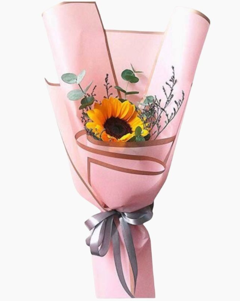  Sunny Morning - HBD71 