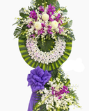  Tiếc Thương Vô Hạn-HTL142 