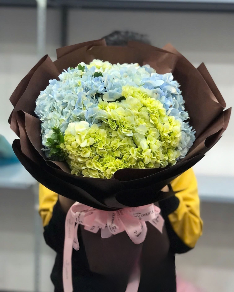  Bó Hoa Cẩm Tú Cầu - HBT51 - Hoa tặng mẹ 