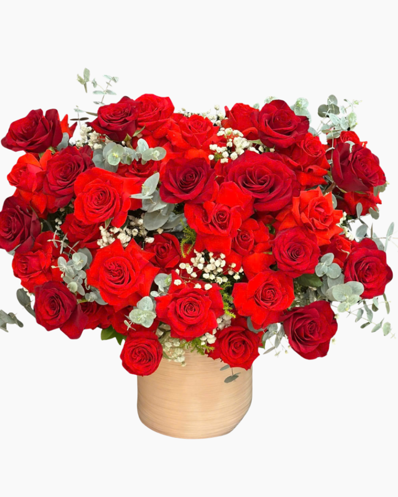  Hộp Hoa Hồng Đỏ Thuần  - HH119 