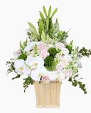  Hộp Hoa Bản Tình Ca Mùa Đông - HCH104 