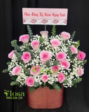  Hoa Hộp Hồng Phấn Yêu Thương-HH80 