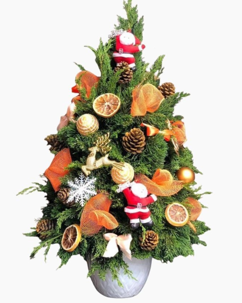 Cây Thông Noel:  Cây Thông Noel Sparkle - HGS04 - Quà Giáng Sinh 