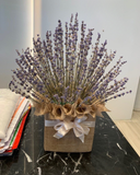  Thảo Dược Tình Yêu - LVD06 