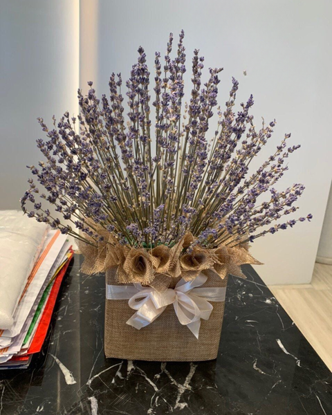 Bó Hoa Lavender: Thảo Dược Tình Yêu - LVD06